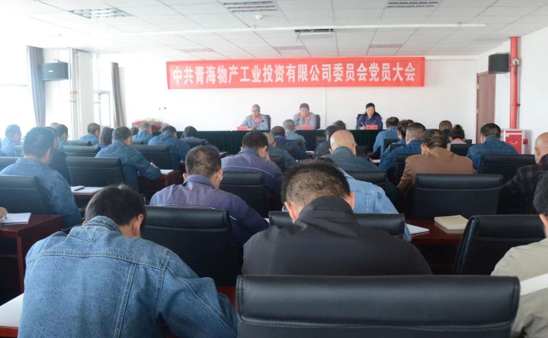 實(shí)干擔(dān)當(dāng)拼搏趕超 為奪取新時代物產(chǎn)工投綠色低碳高質(zhì)量發(fā)展新勝利不懈奮斗 &mdash;&mdash;物產(chǎn)工投公司黨委召開換屆選舉大會